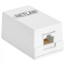 Розетка RJ-45 открытый монтаж категория 5e, белый, 10шт., NETLAN (EC-UWO-1-UD2-WT-10)